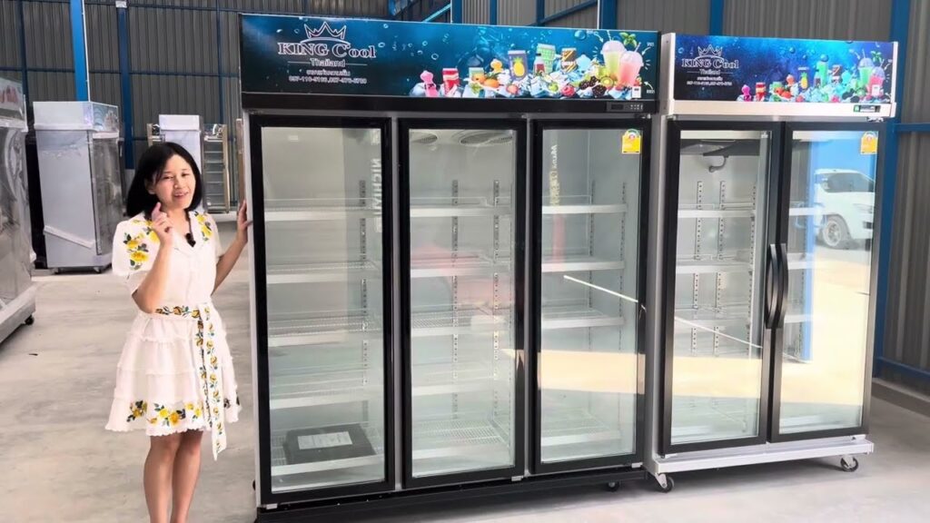 ราคา ตู้ แช่ 2 ประตู
