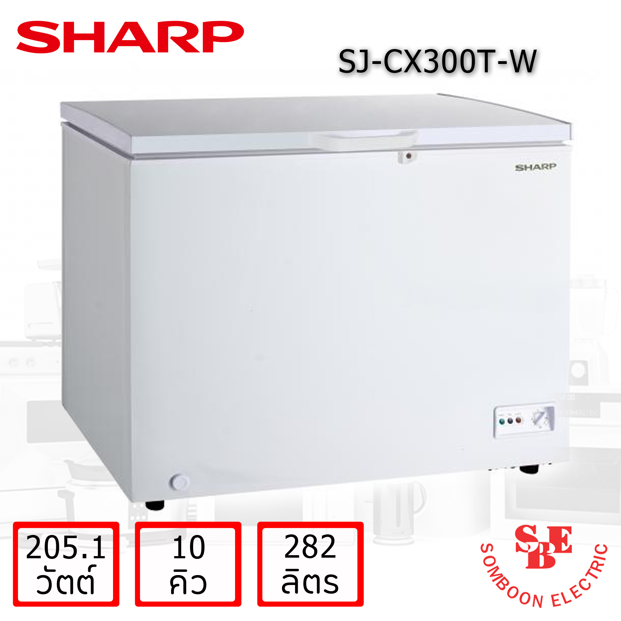 ตู้แช่แข็ง 10 คิว